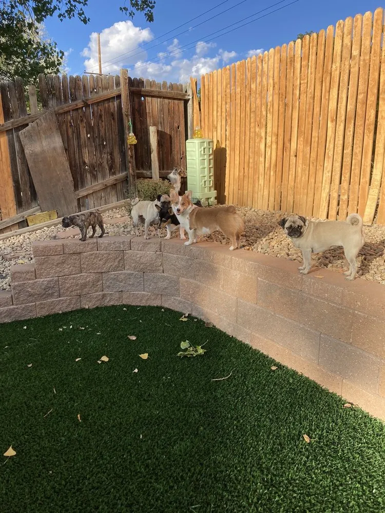 Affordable residential landscaping experts serving Westminter, CO - GKC Landscaping Contractor