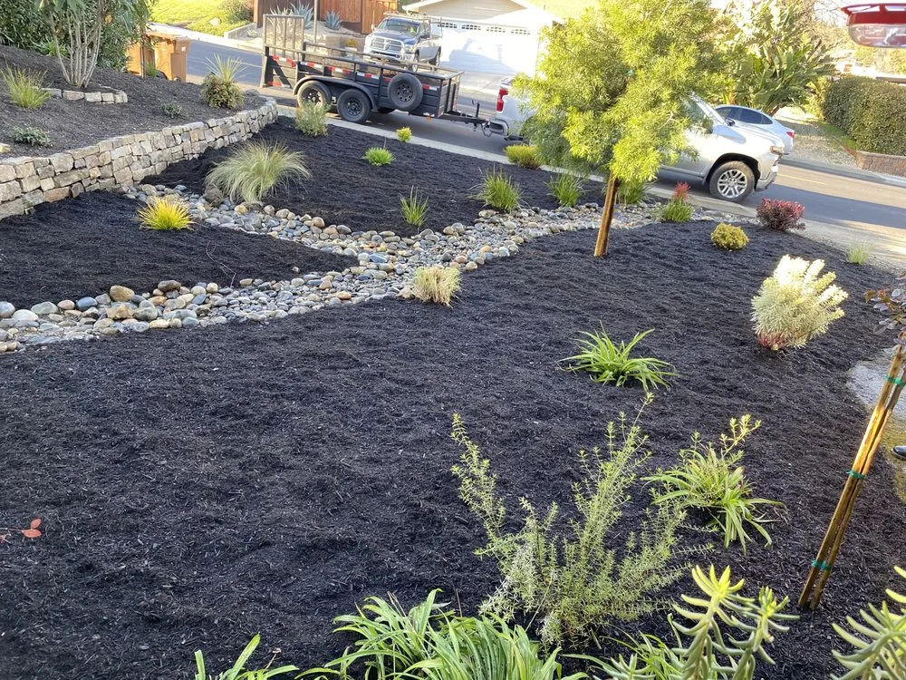 Expert yard cleanup service for year-round maintenance across Concord, CA - G&L Landscape