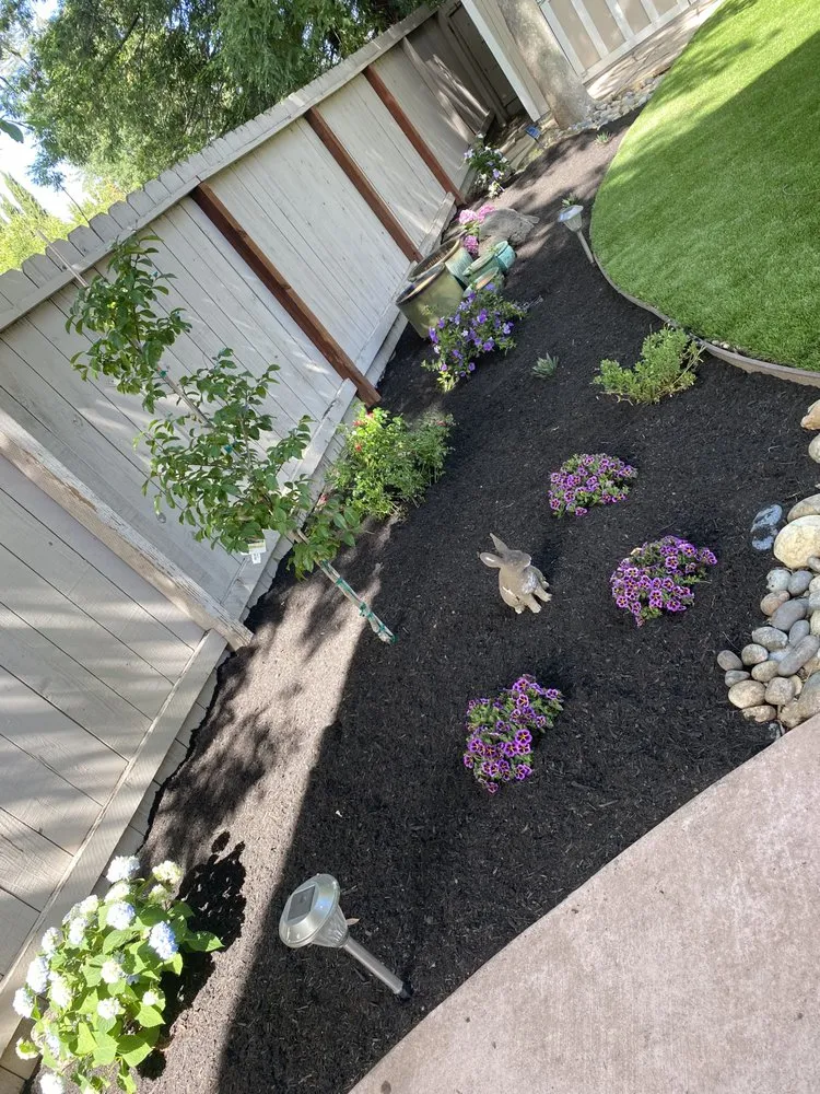 Reliable yard cleanup service for homes in Concord, CA by G&L Landscape