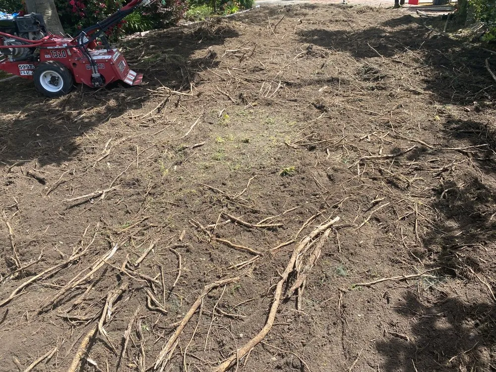 Professional landscaping services experts serving Concord, CA - G&L Landscape