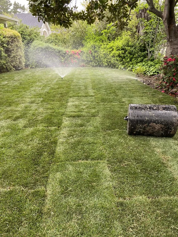 Affordable yard cleanup service in Concord, CA by G&L Landscape
