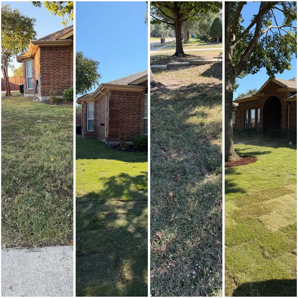 Trusted yard maintenance experts serving Dallas, TX - GL Landscape