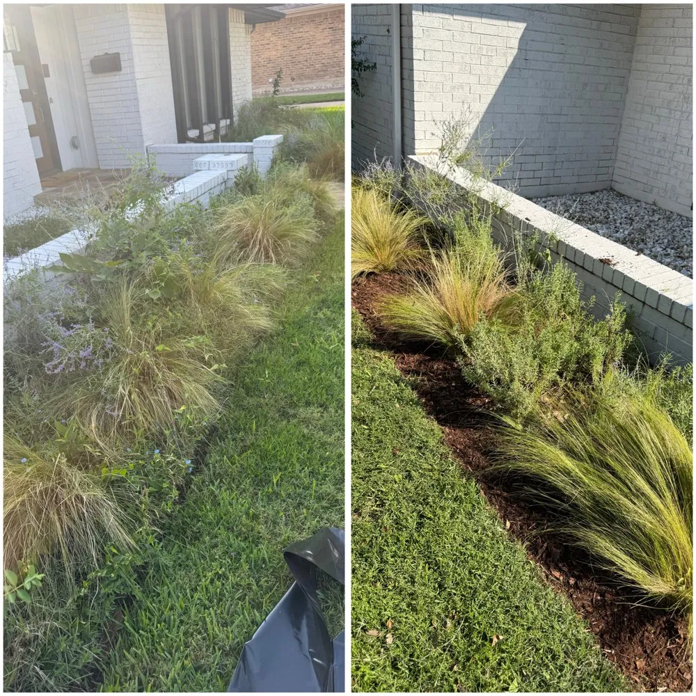 Professional lawn mowing service in Dallas, TX by GL Landscape