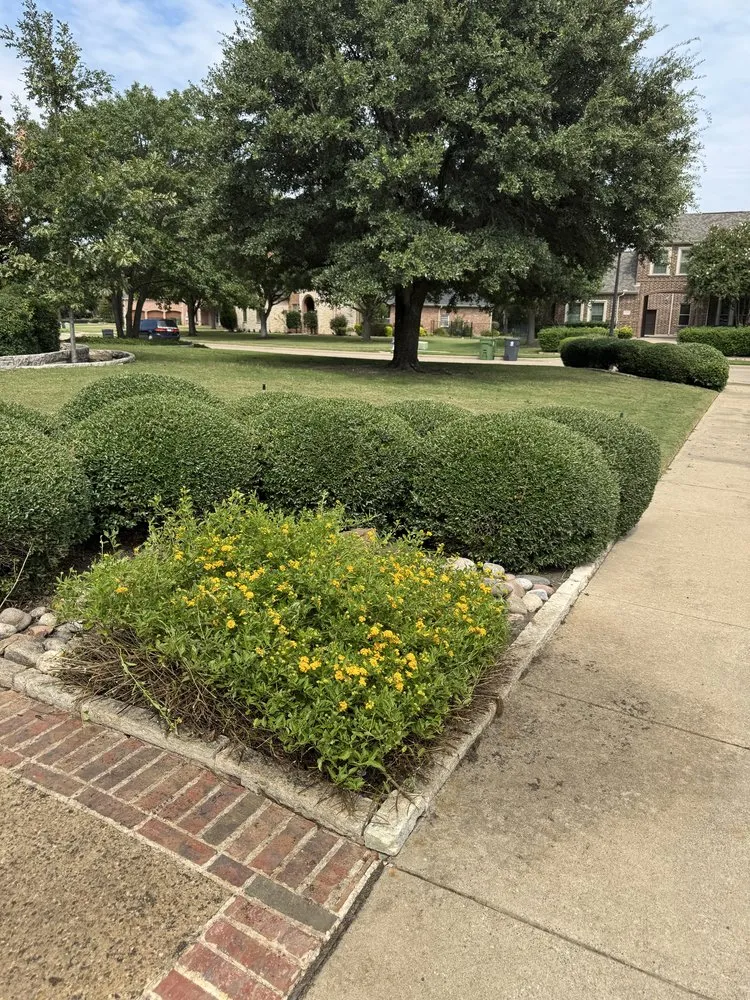 Expert landscape installation in Dallas, TX - GL Landscape