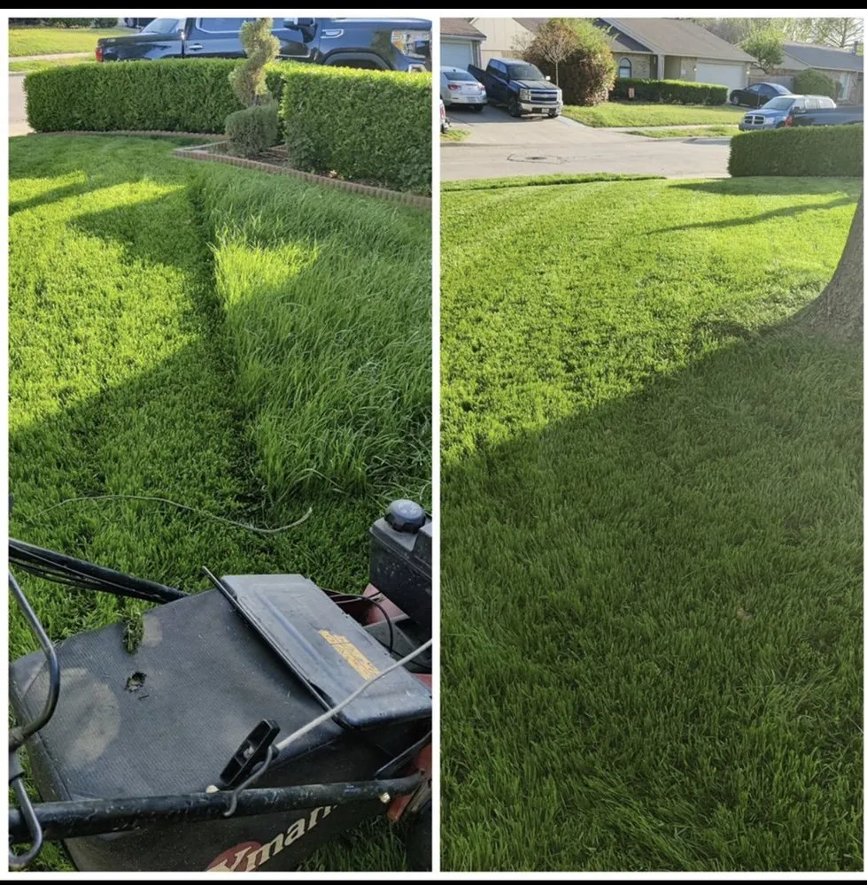 Professional landscaping services for outdoor upgrades in Dallas, TX by GL Landscape