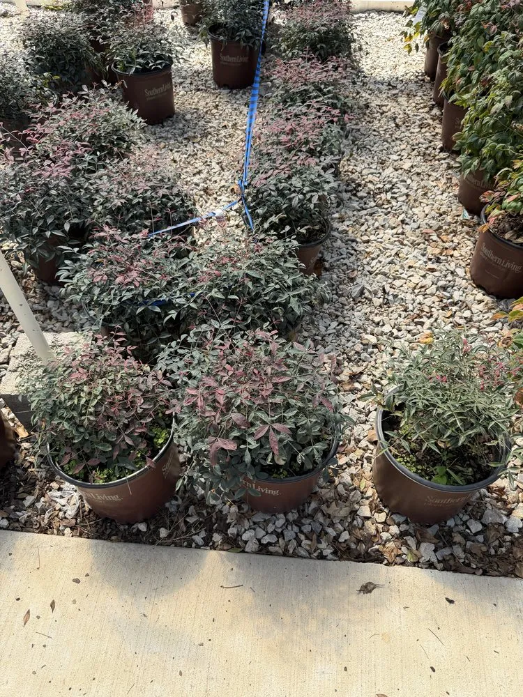 Professional landscape installation in Dallas, TX - GL Landscape