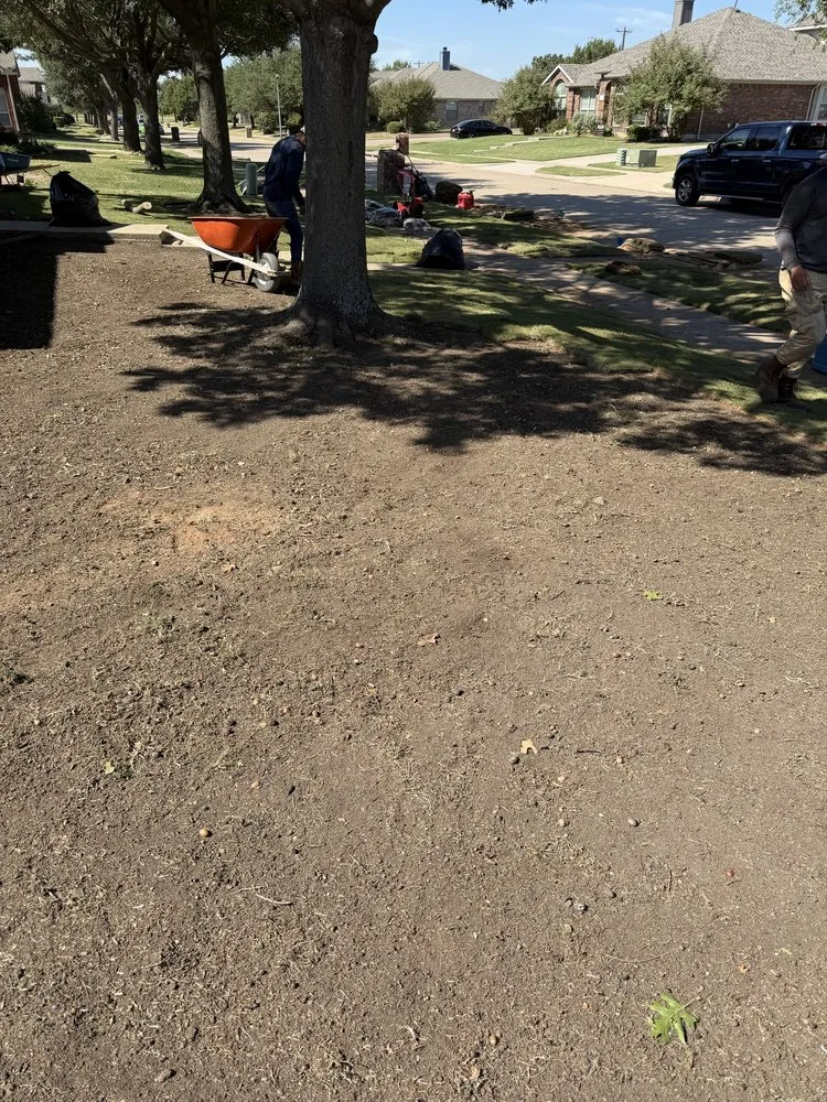 Affordable outdoor landscaping for homes across Dallas, TX - GL Landscape