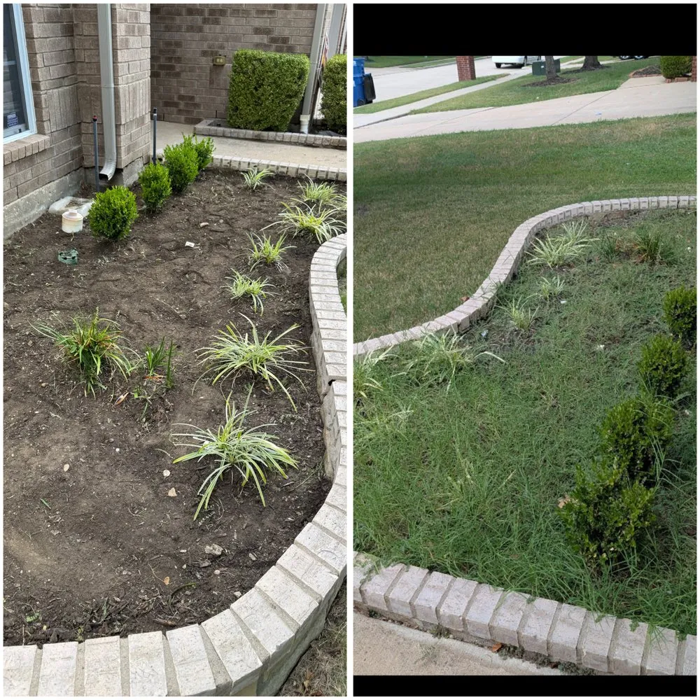 Affordable landscape design for outdoor upgrades across Dallas, TX - GL Landscape