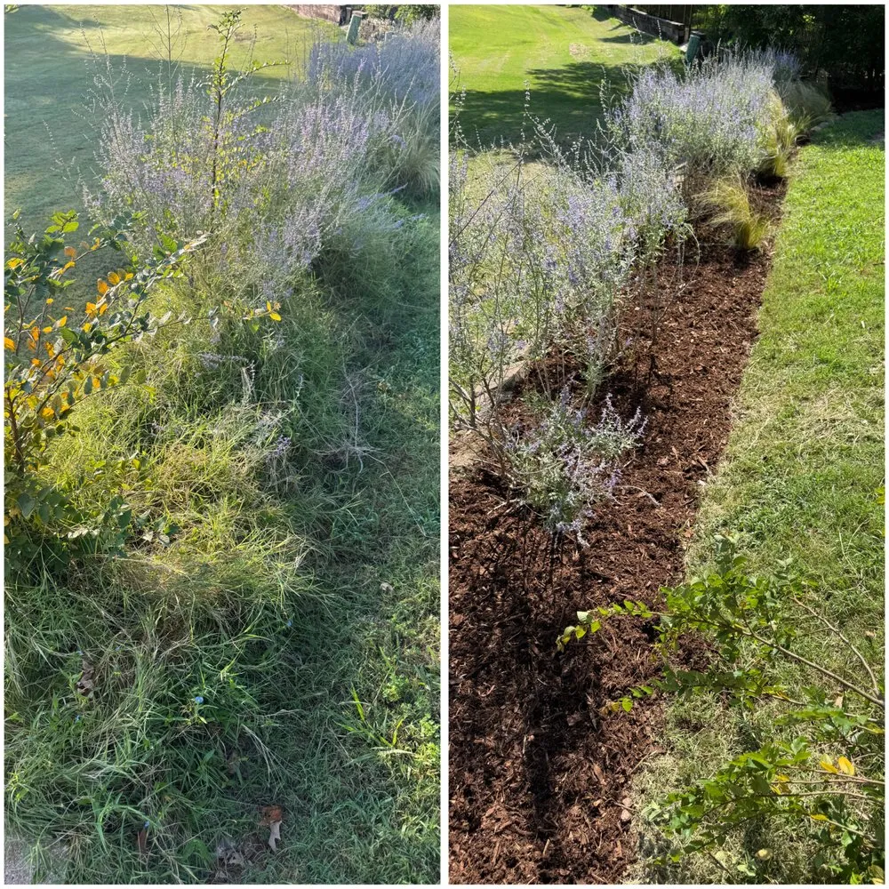 Local outdoor landscaping in Dallas, TX - GL Landscape