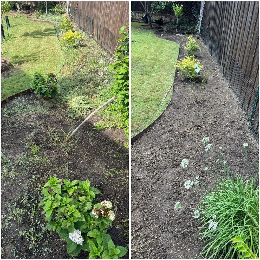 Affordable yard maintenance experts serving Dallas, TX - GL Landscape