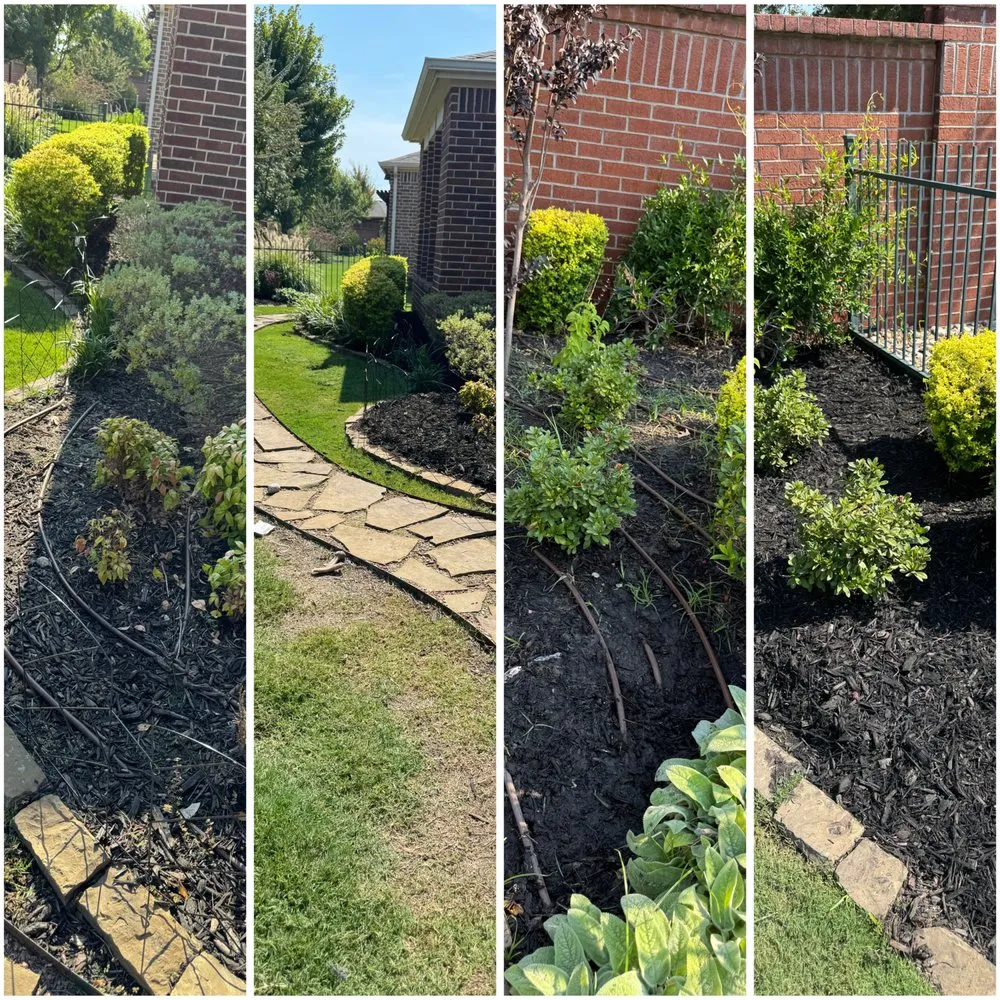 Trusted yard cleanup service experts serving Dallas, TX - GL Landscape