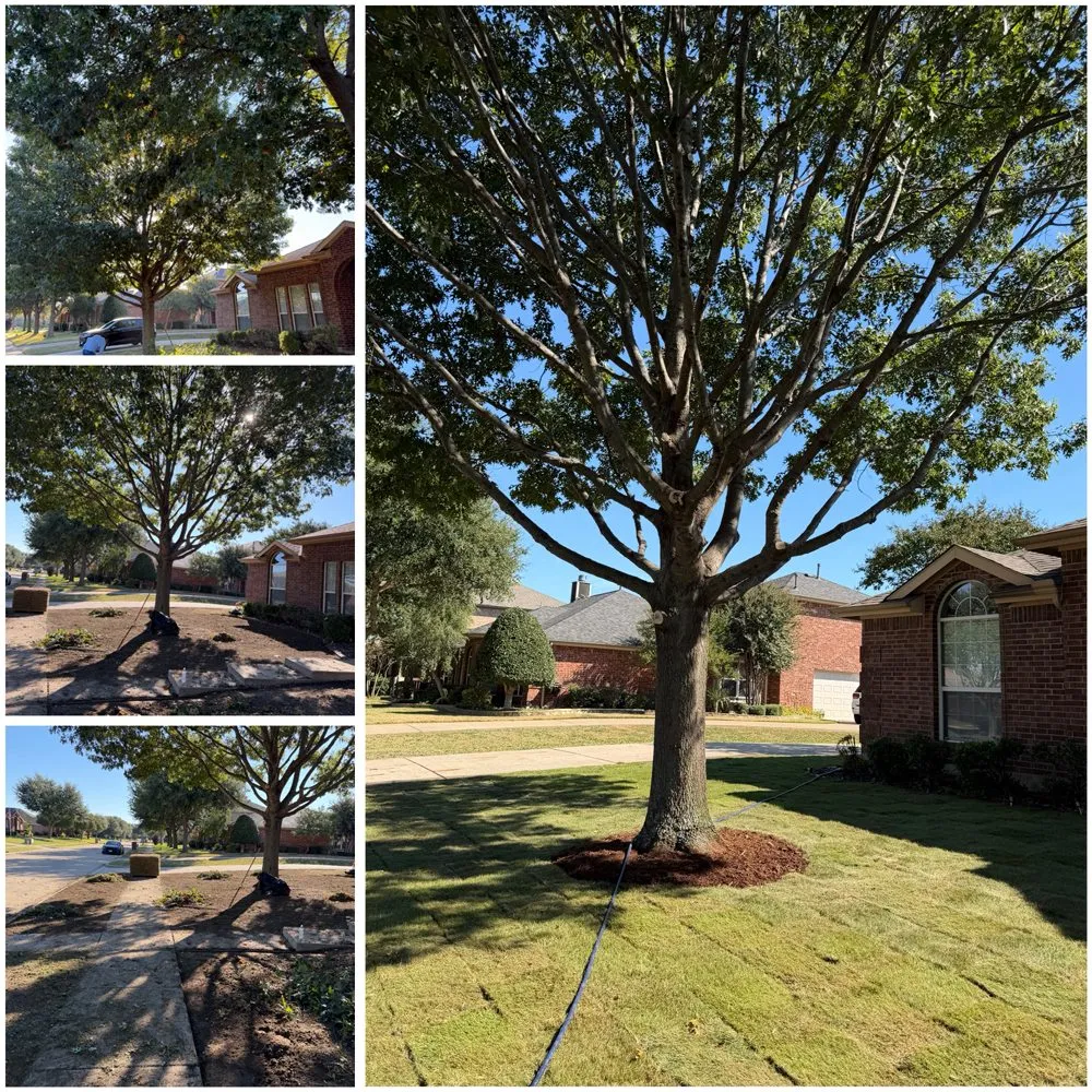 Affordable residential landscaping in Dallas, TX - GL Landscape