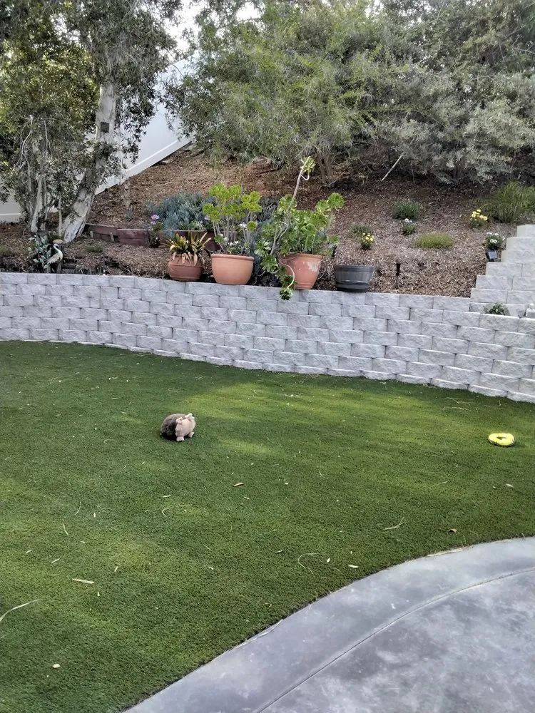 Local yard maintenance experts serving San Marcos, CA - GL Landscape