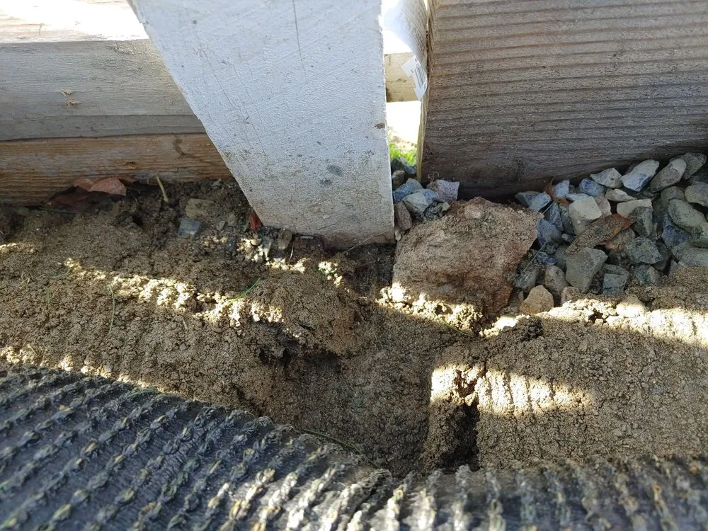 Professional yard maintenance in San Marcos, CA - GL Landscape