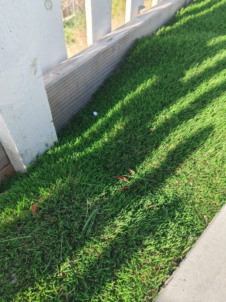 Trusted yard maintenance near you across San Marcos, CA - GL Landscape