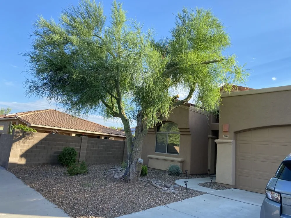 Professional outdoor landscaping in Tucson, AZ by GL Landscape Service