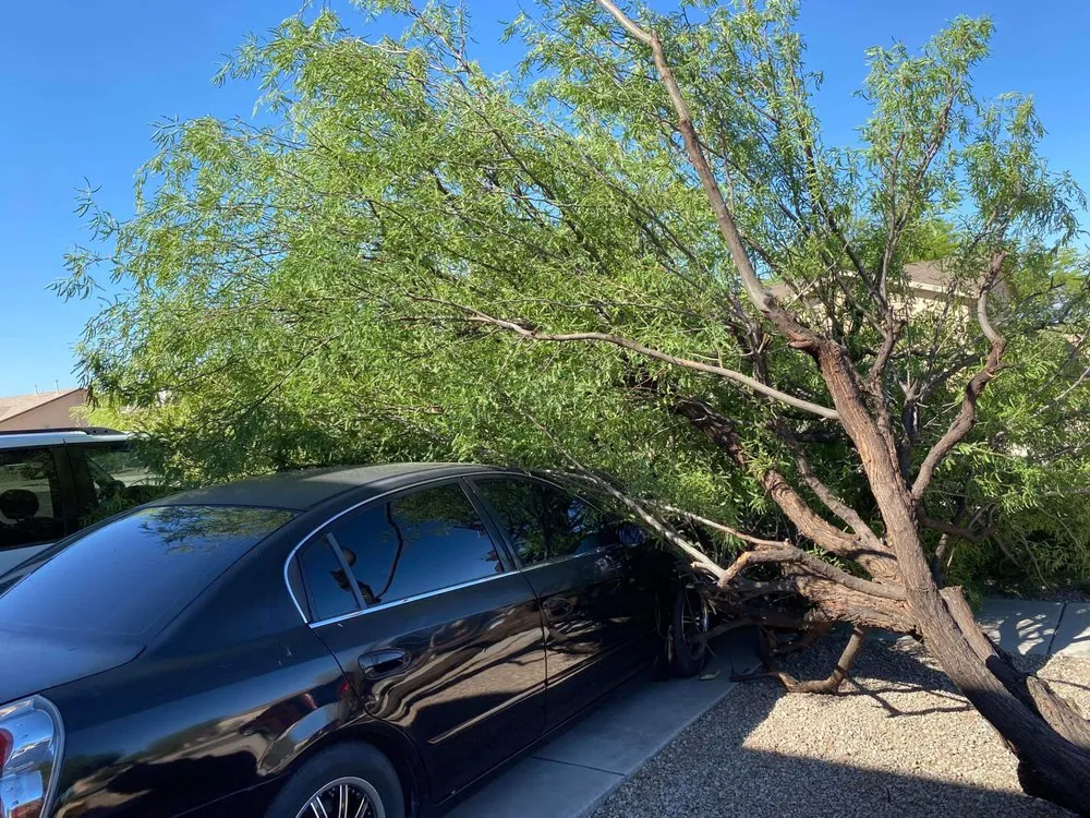 Reliable outdoor landscaping in Tucson, AZ by GL Landscape Service