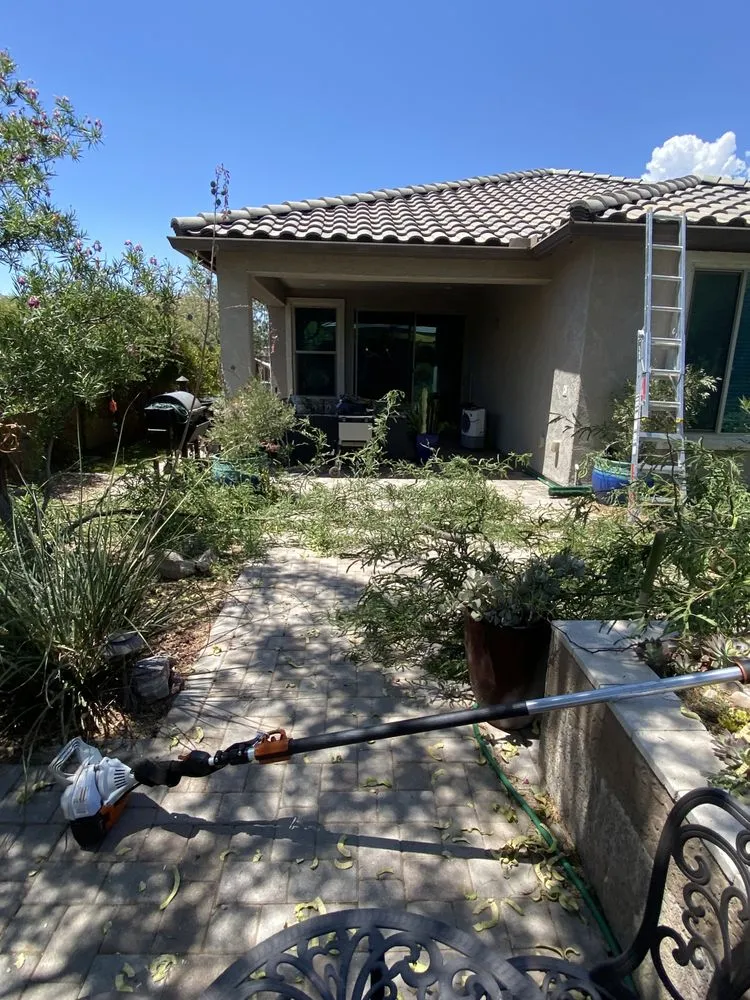 Expert yard maintenance experts serving Tucson, AZ - GL Landscape Service