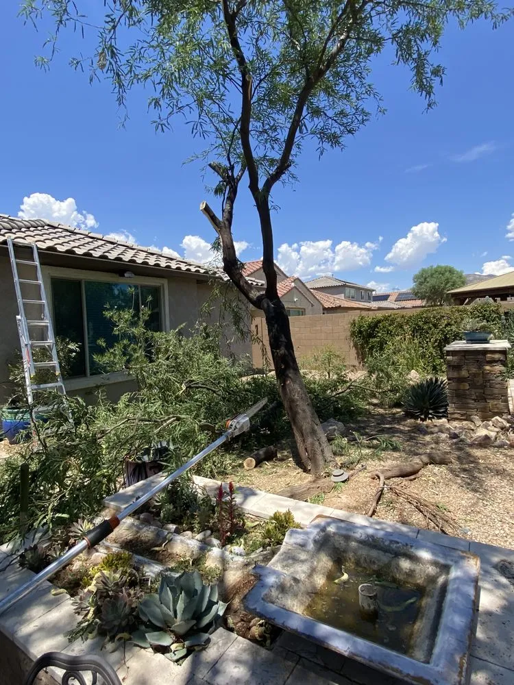 Expert landscape design in Tucson, AZ by GL Landscape Service