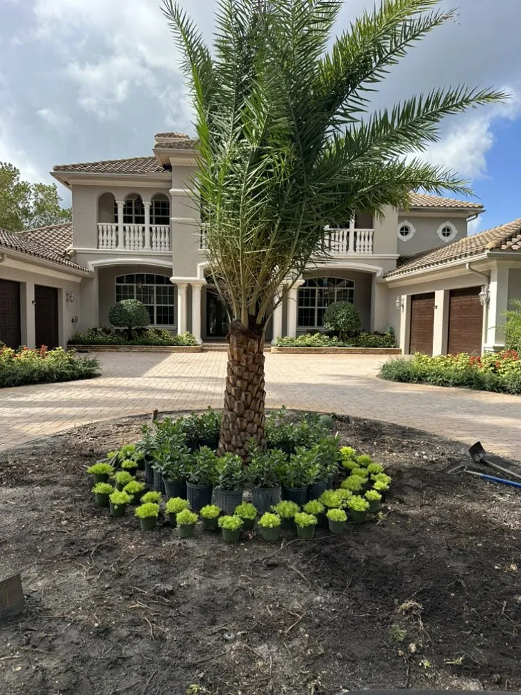 Professional garden landscaping experts serving Miami, FL - G&L Landscaping