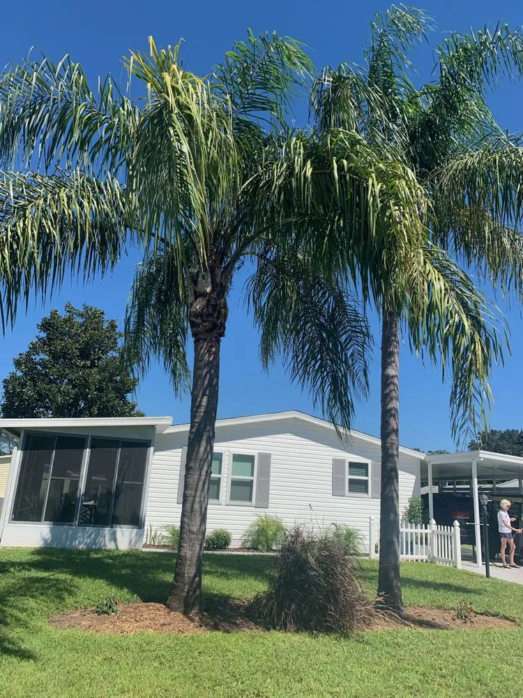 Reliable residential landscaping in Summerfield, FL by G&L Lawn & Landscaping