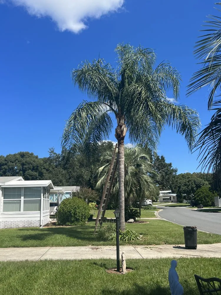 Trusted landscape design in Summerfield, FL by G&L Lawn & Landscaping