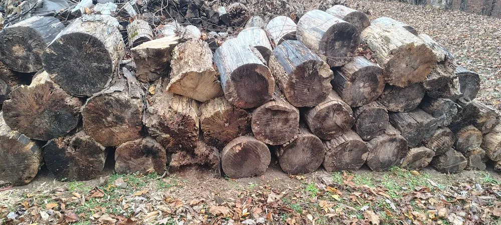 Trusted outdoor landscaping in Lexington, NC - G&L Lawn Care