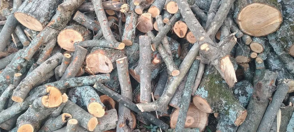 Reliable residential landscaping with custom design in Lexington, NC by G&L Lawn Care