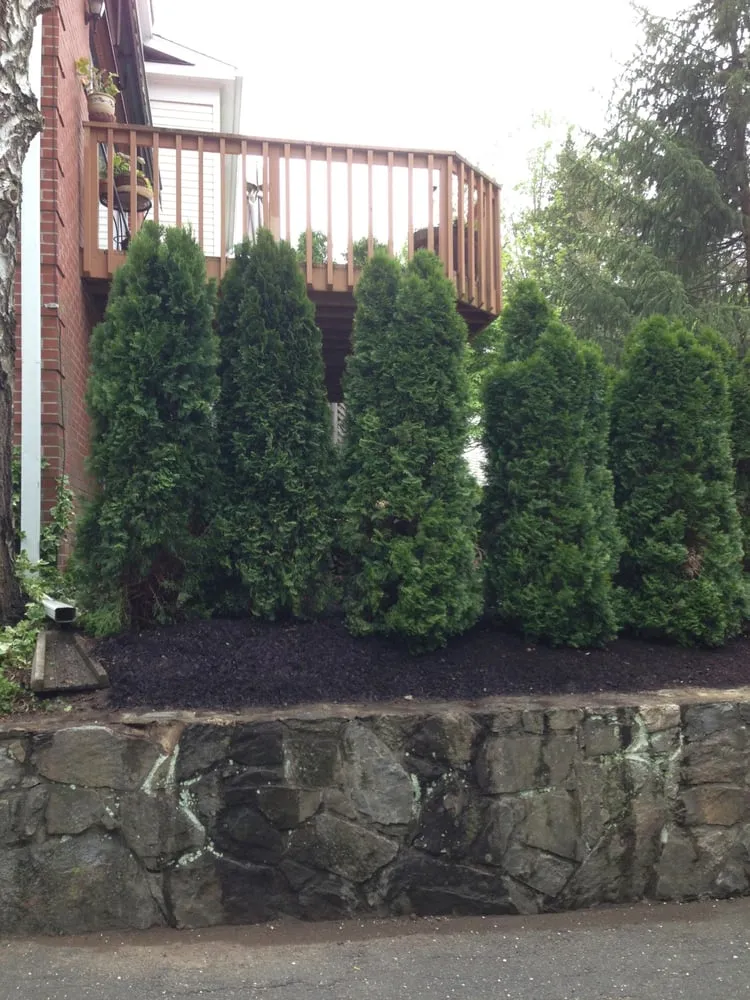 Top-rated garden landscaping in Stamford, CT by GL Lawn Maintenance