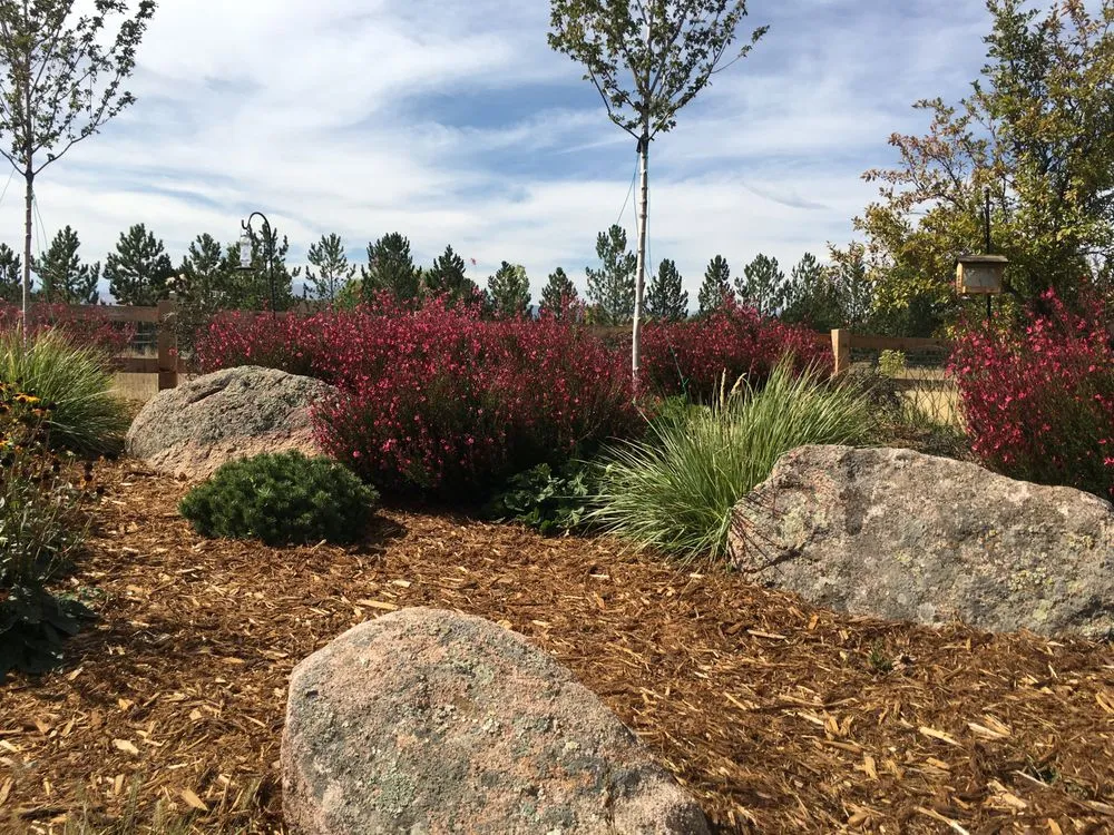 Top-rated garden landscaping for year-round maintenance across Longmont, CO - Glacier View Landscape & Design