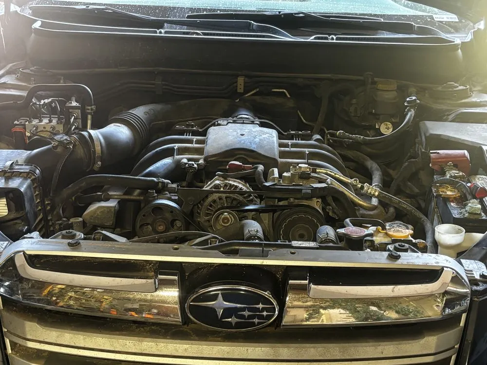 Reliable lawn care service for year-round maintenance in Ava, MO by Glade Top Auto & Handyman