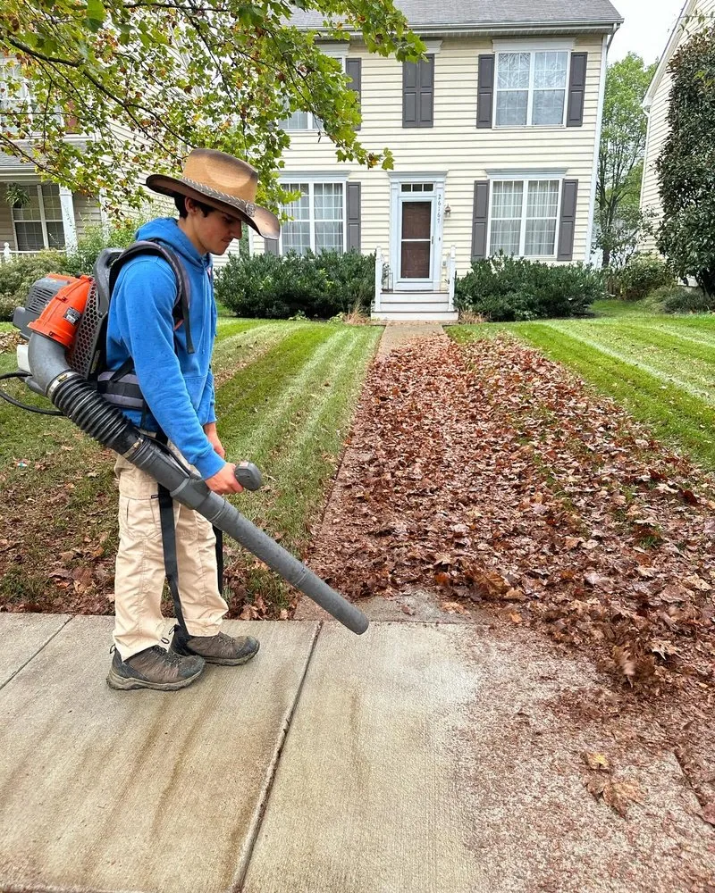 Reliable lawn care service near you in South Riding, VA by Gladiator Grass Lawn Care