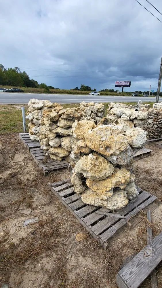 Professional landscape installation in Ocala, FL by Gladiator Home Services