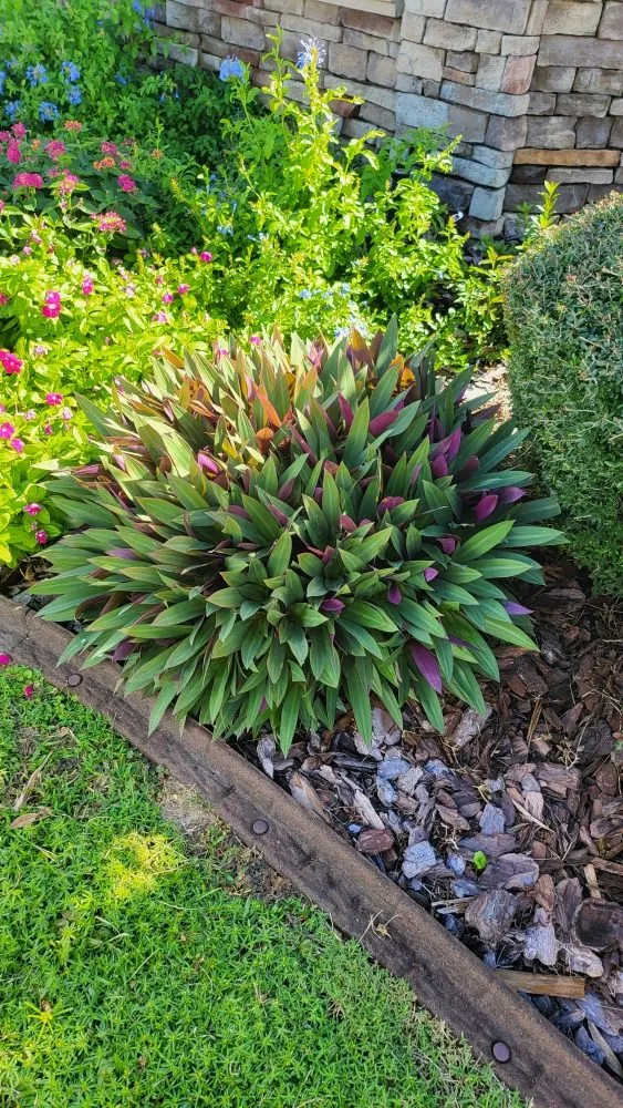 Reliable outdoor landscaping in Ocala, FL - Gladiator Home Services