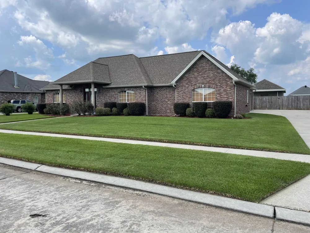 Reliable yard cleanup service in Houma, LA by Gladiator