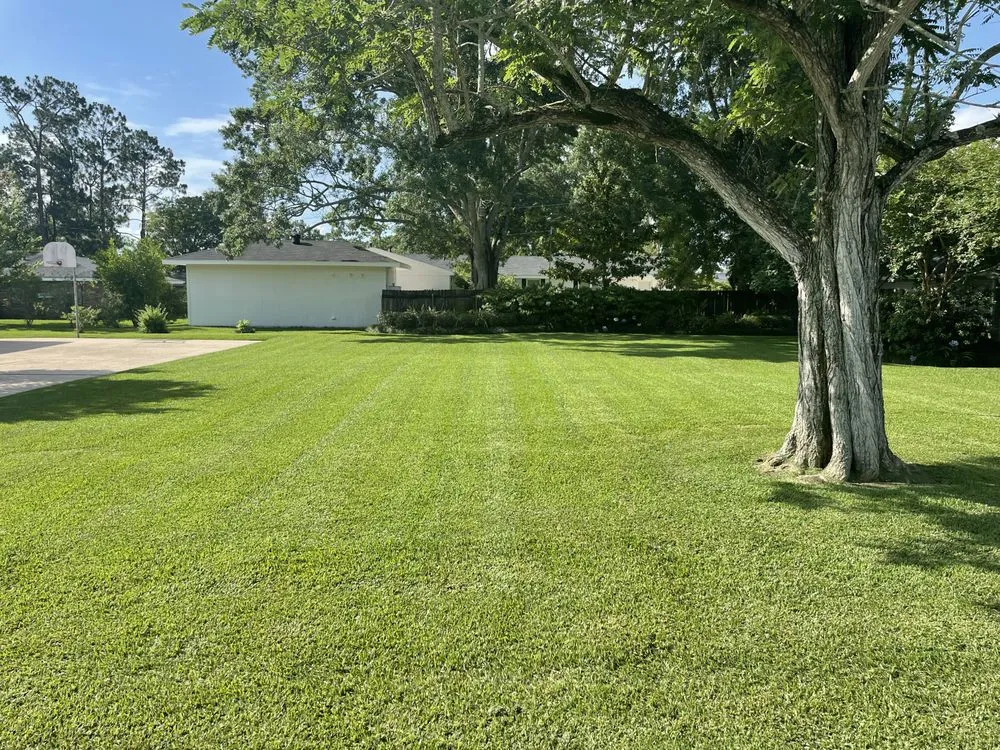 Trusted outdoor landscaping for outdoor upgrades across Houma, LA - Gladiator