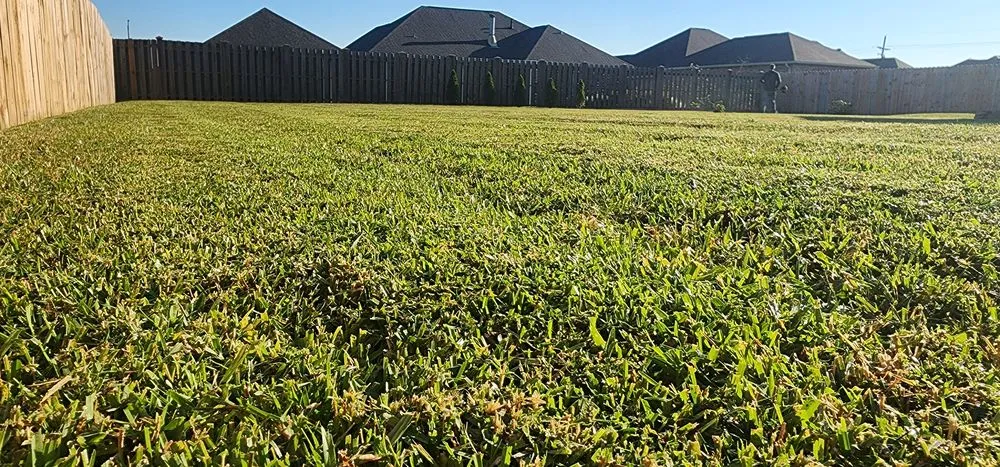 Custom lawn care service experts serving Houma, LA - Gladiator