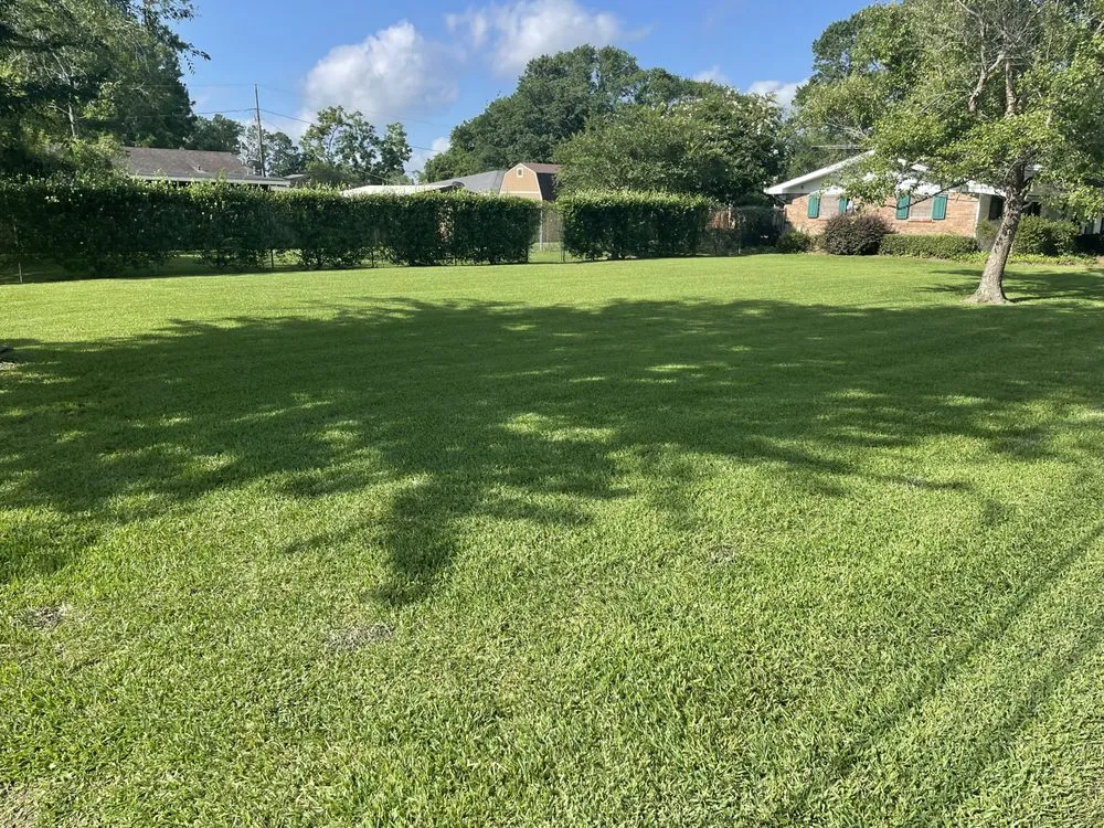 Trusted landscaping services with custom design in Houma, LA by Gladiator