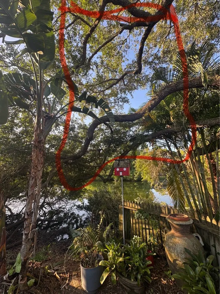 Local yard cleanup service experts serving Pine Hills, FL - Gladiator Landscaping and Tree Service