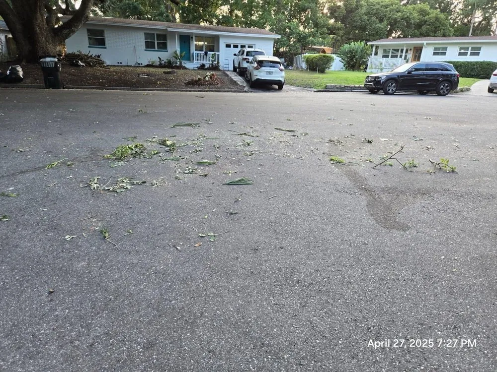 Professional outdoor landscaping for residential properties in Pine Hills, FL by Gladiator Landscaping and Tree Service