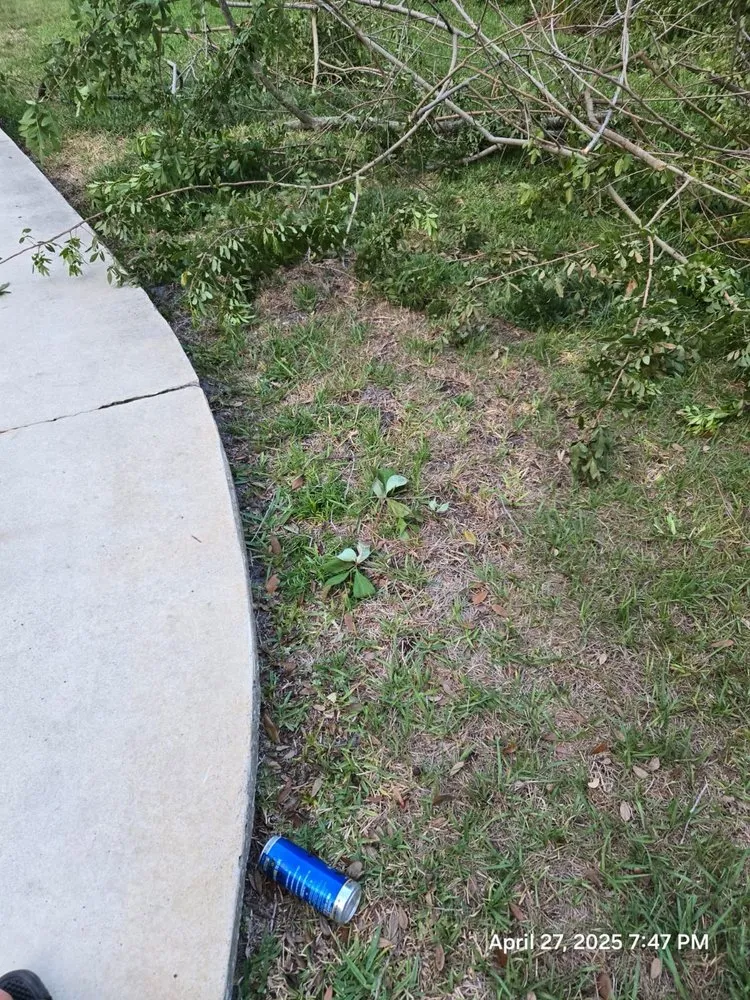 Affordable residential landscaping in Pine Hills, FL by Gladiator Landscaping and Tree Service