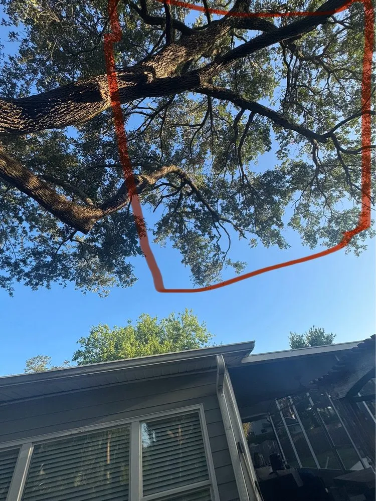 Custom landscape installation experts serving Pine Hills, FL - Gladiator Landscaping and Tree Service