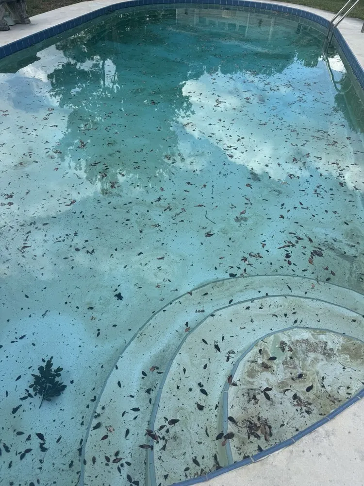 Affordable residential landscaping in Pine Hills, FL - Gladiator Landscaping and Tree Service