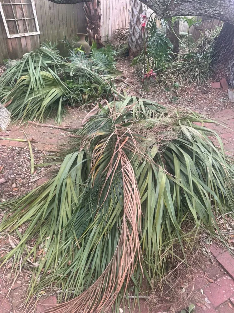 Affordable landscape installation in Pine Hills, FL by Gladiator Landscaping and Tree Service