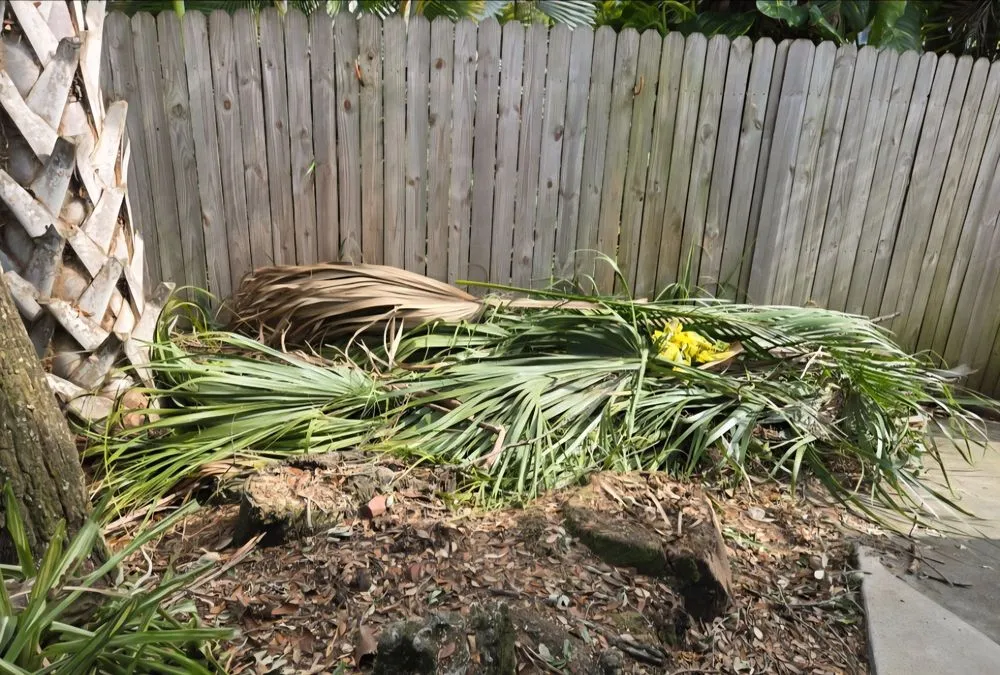 Local yard cleanup service experts serving Pine Hills, FL - Gladiator Landscaping and Tree Service