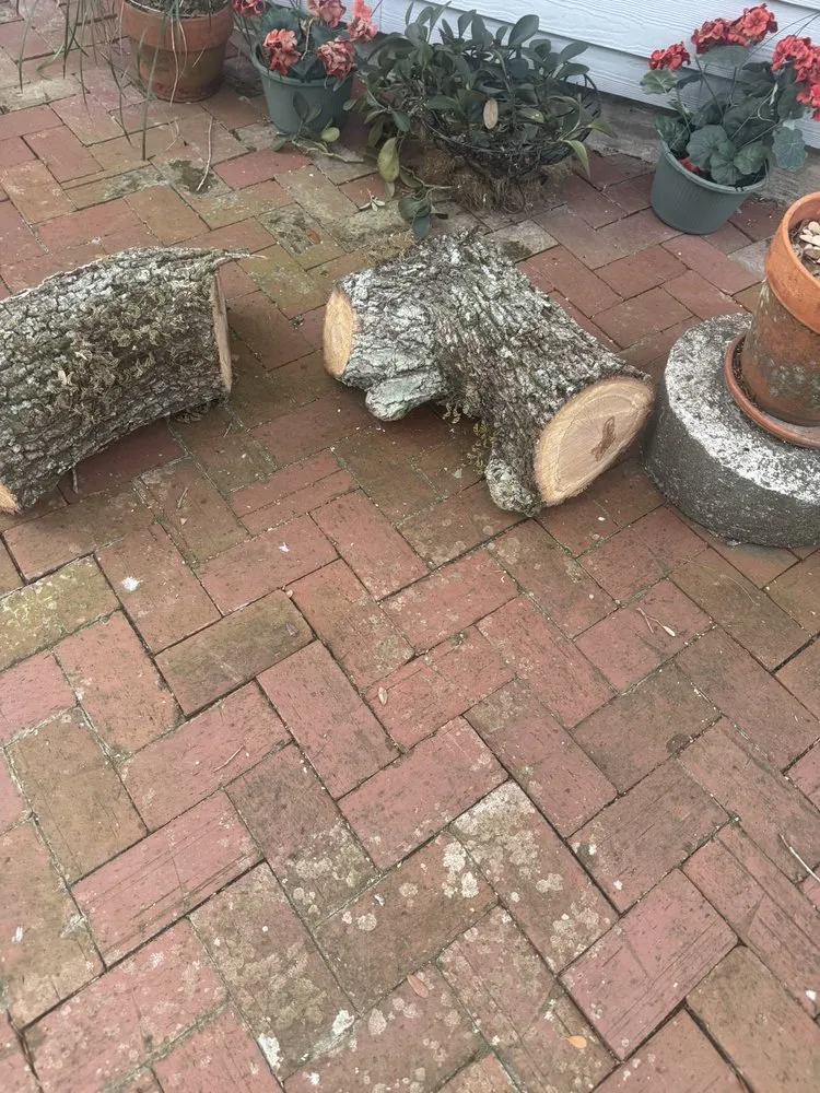 Affordable yard cleanup service in Pine Hills, FL by Gladiator Landscaping and Tree Service