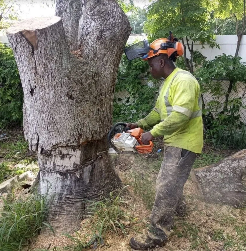 Affordable yard cleanup service in Pine Hills, FL - Gladiator Landscaping and Tree Service