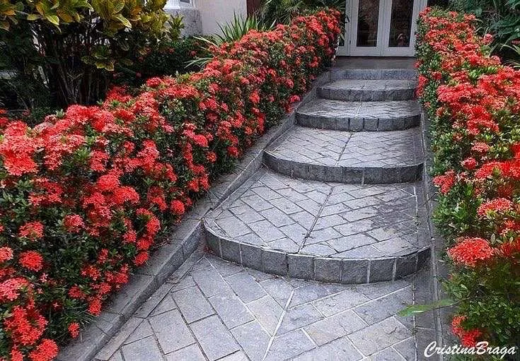 Trusted landscaping services near you across Pine Hills, FL - Gladiator Landscaping and Tree Service