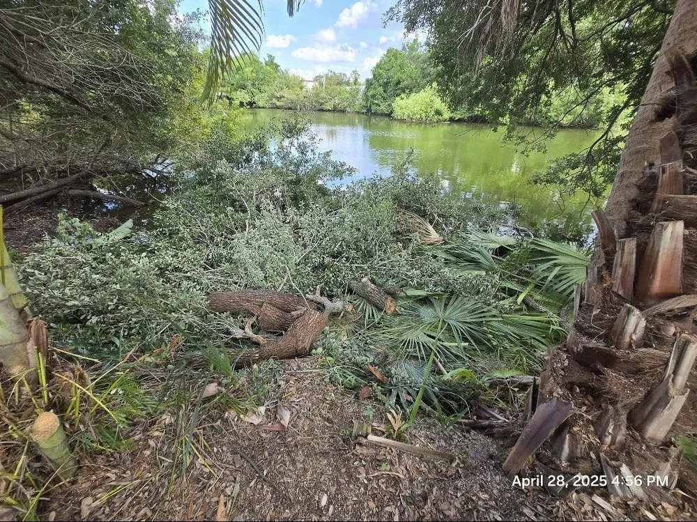 Local landscape design in Pine Hills, FL - Gladiator Landscaping and Tree Service