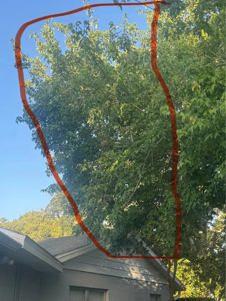 Expert yard maintenance for outdoor upgrades in Pine Hills, FL by Gladiator Landscaping and Tree Service